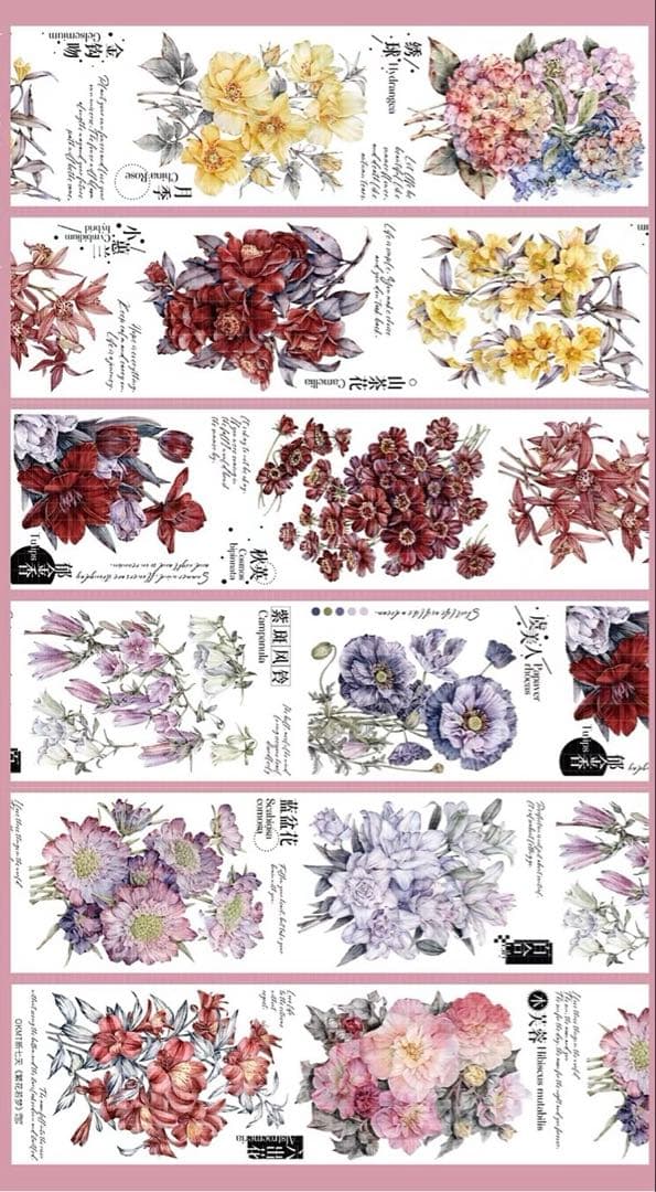 【9336】海外　マステ　5m巻　貝殻光　マスキングテープ　お花系　装飾系