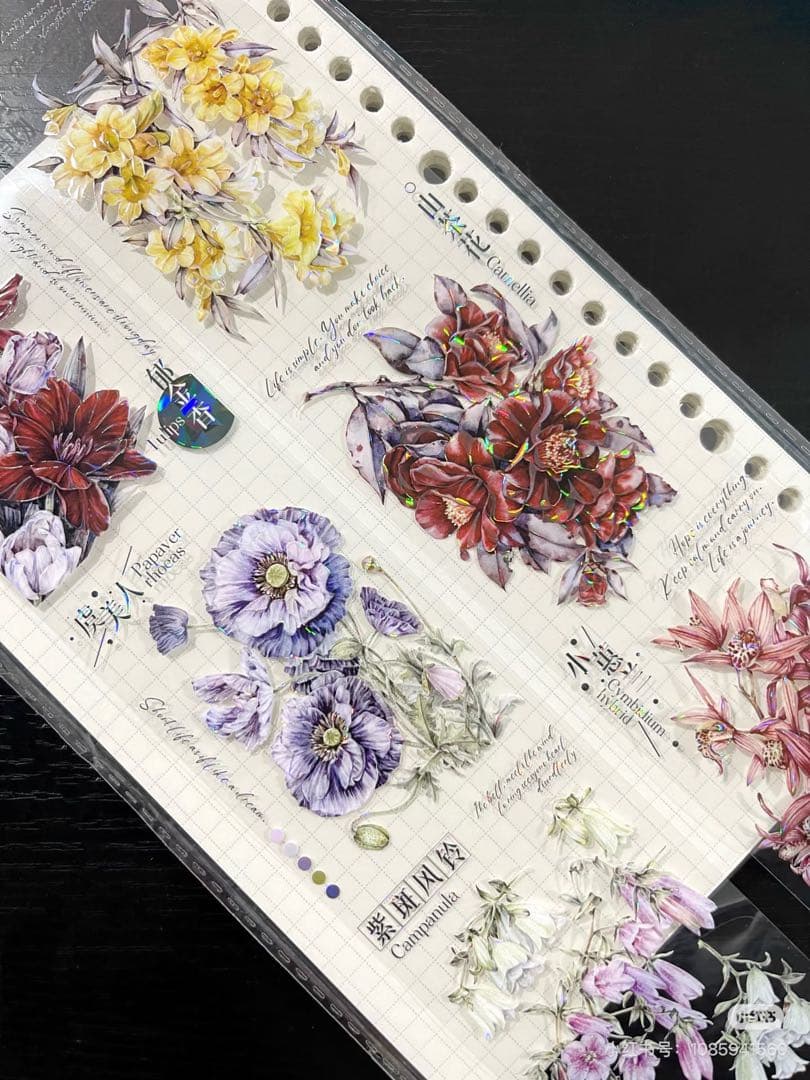 【9336】海外　マステ　5m巻　貝殻光　マスキングテープ　お花系　装飾系