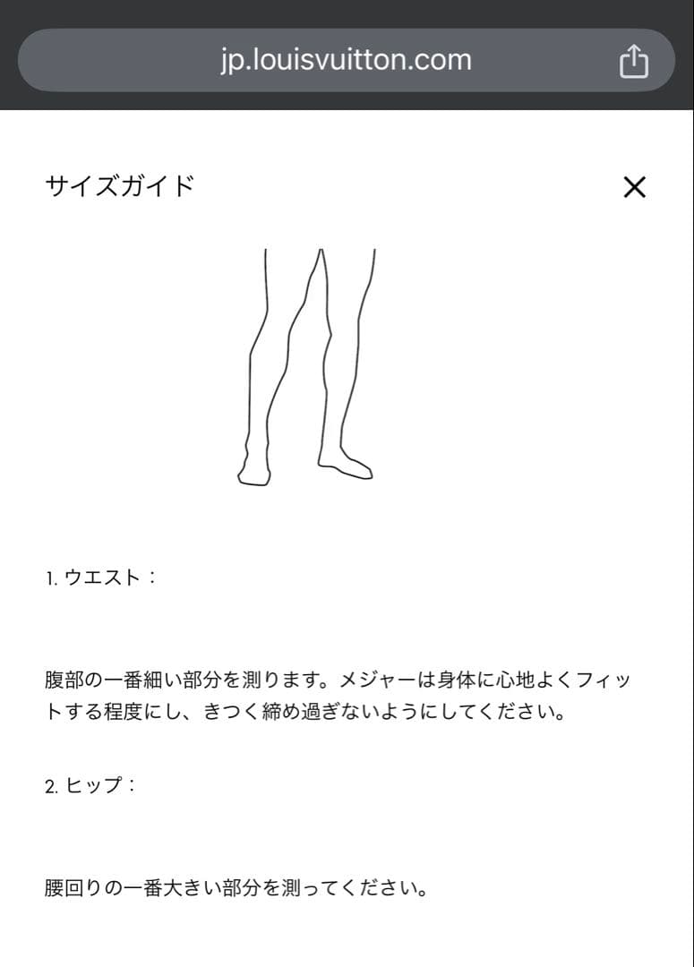 ♦︎水着♦︎ LOUIS VUITTON 3Dポケットモノグラムボードショーツ