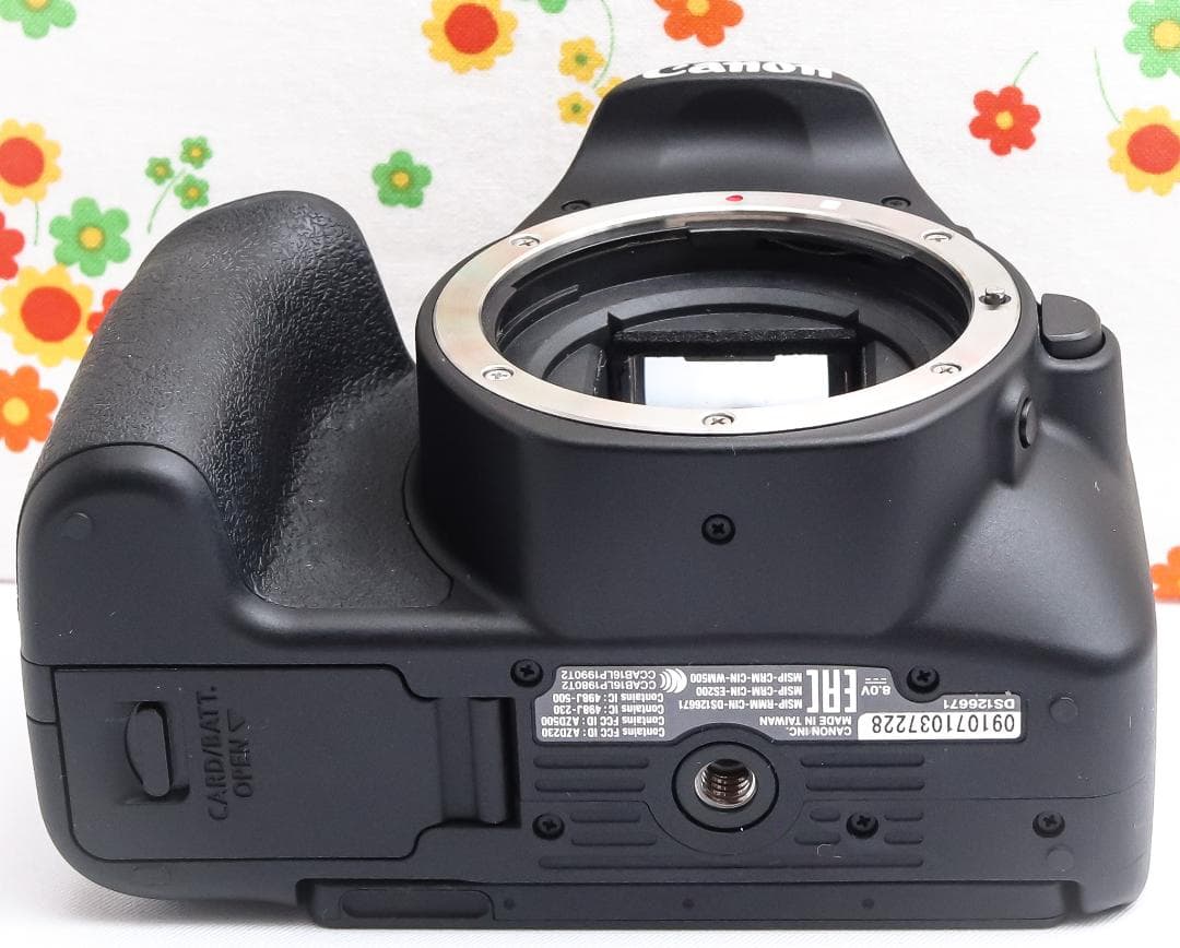 Canon EOS Kiss X9 ☆背景ふんわり！☆軽量ボディ☆スマホに転送