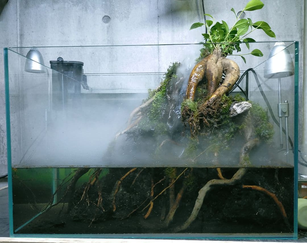 滝と霧の流れるアクアテラリウム　UJ