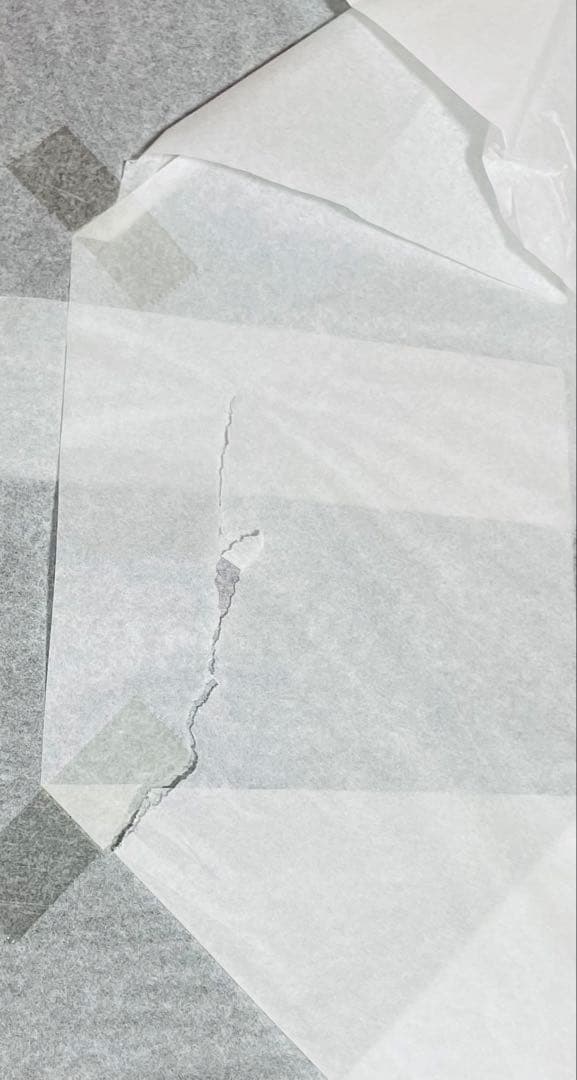 Fate/GrandOrder フォーリナー アビゲイル＆ラヴィニア フィギュア