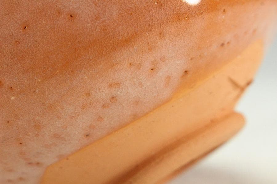 茶道具 高橋一翠作 赤楽茶碗 共箱 未使用(K-A664)