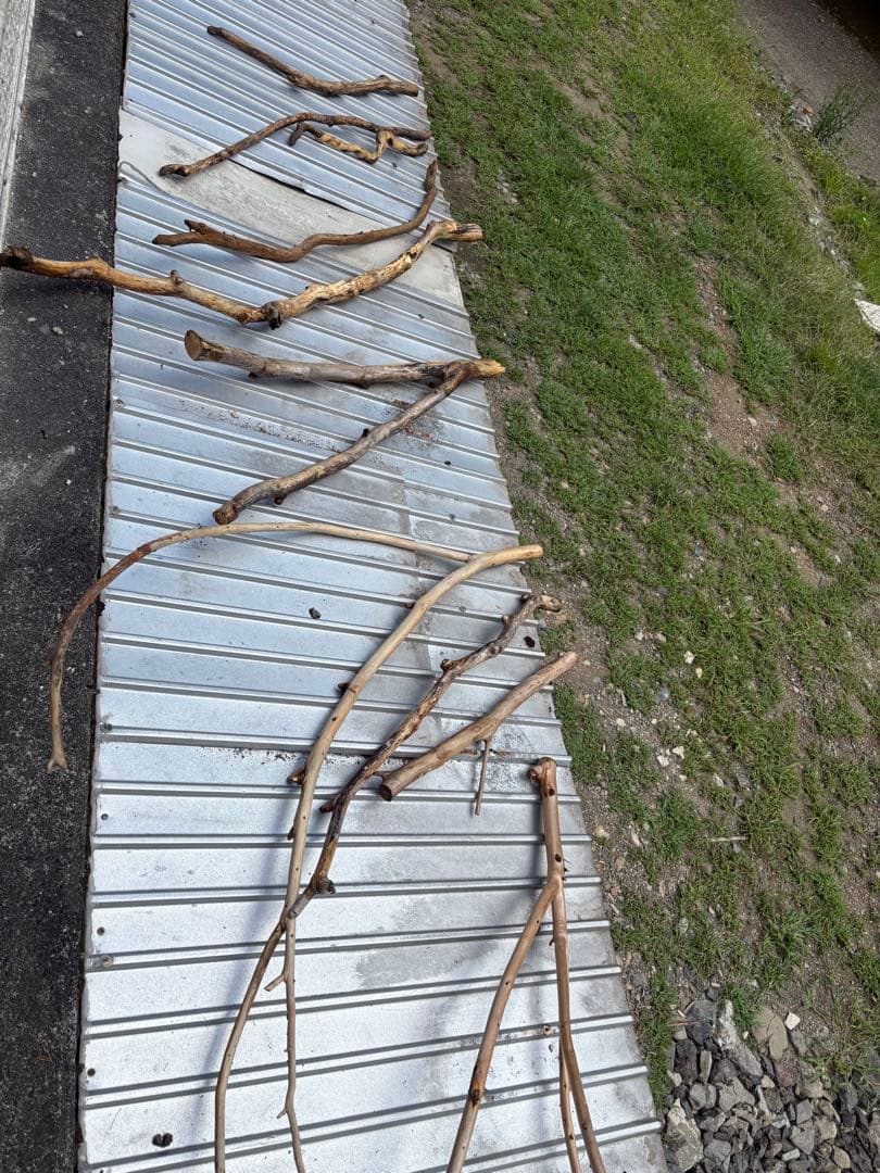 ハンドメイド　流木　バードアスレチック　バードジム　流木インテリア