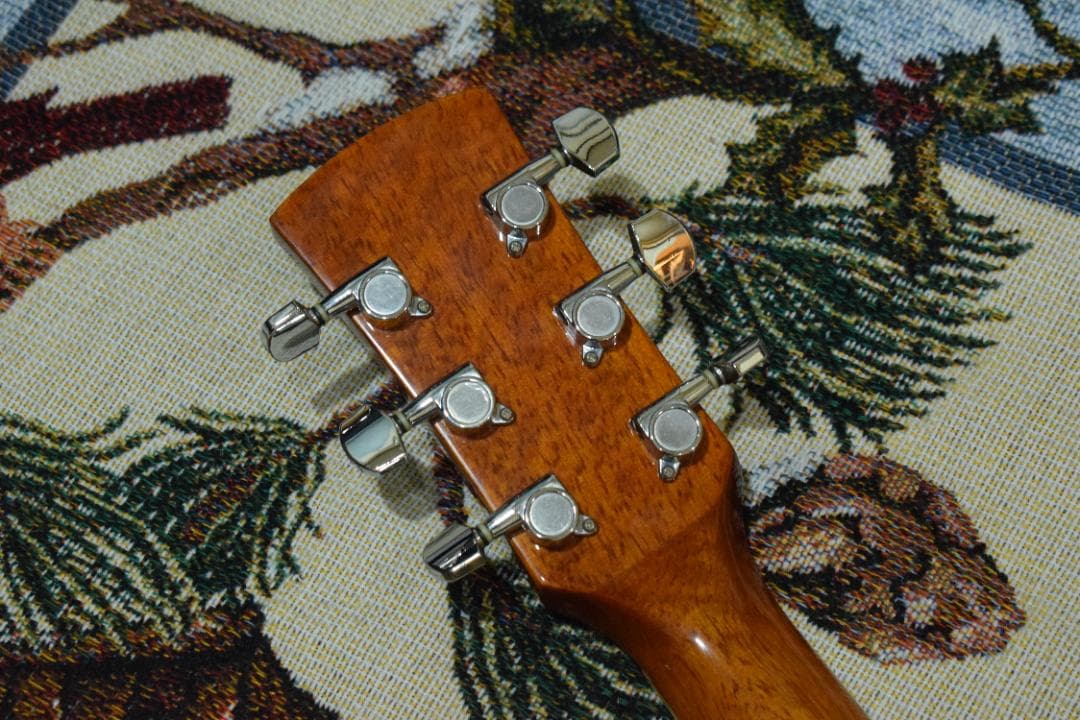 Ibanez PF200NT アコースティックギター ケース付