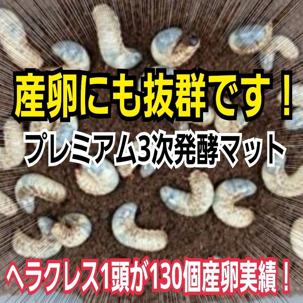 カブトムシ幼虫が巨大化！プレミアム3次発酵カブトムシマット【50L】産卵にも抜群