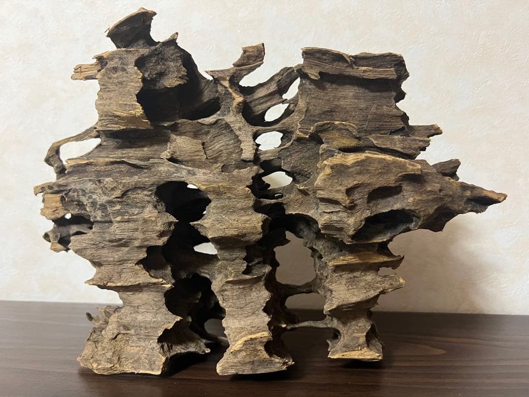 XM-368 ブランチウッド　流木　マシンガンウッド　アクアリウム　沈水確認済