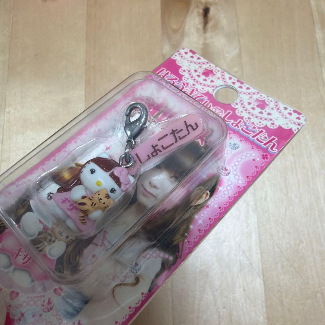 中川翔子★しょこたん★ハローキティ★ファスナーマスコット★ご当地キティ★サンリオ