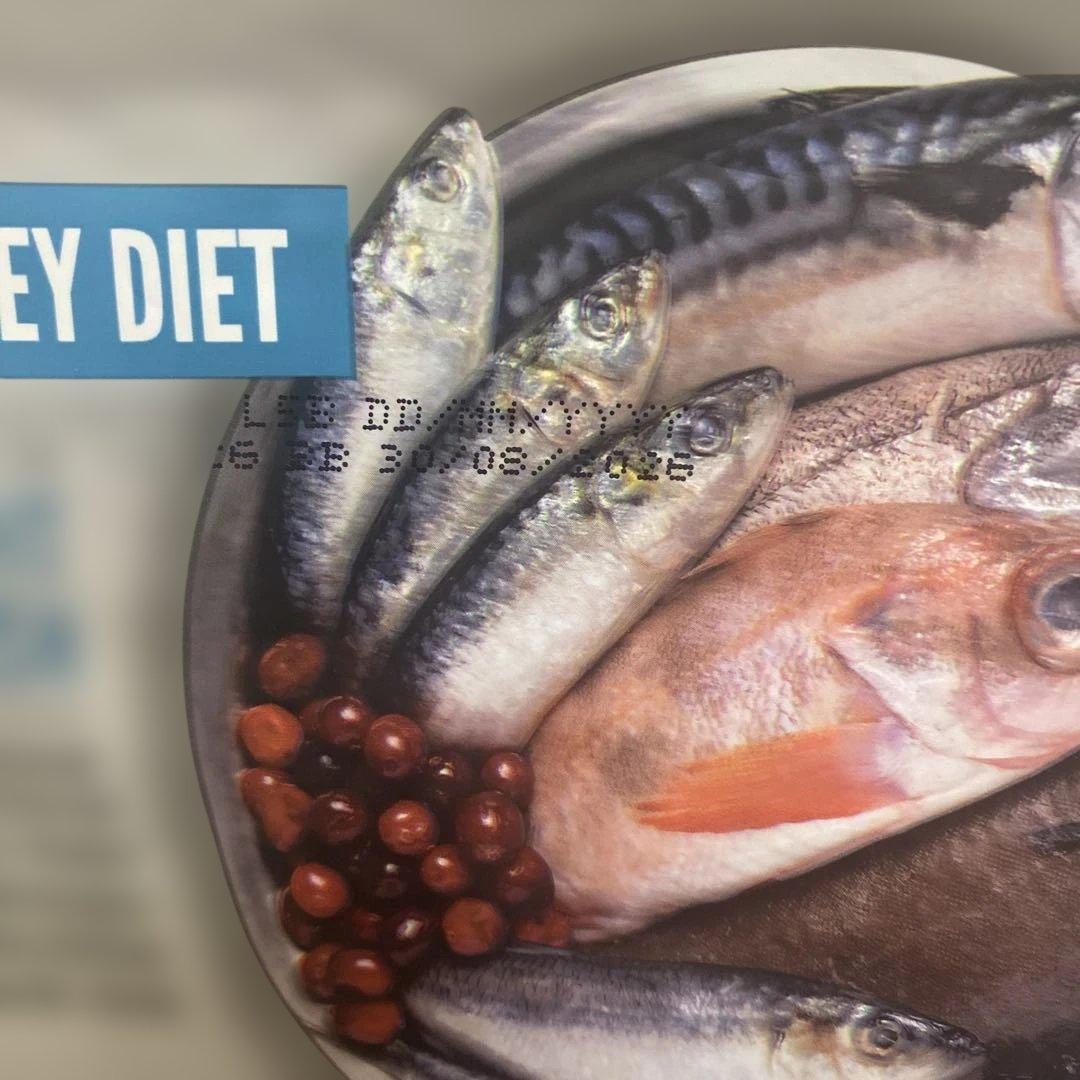 最短即日発送 オリジン シックスフィッシュ ドッグ 4kg