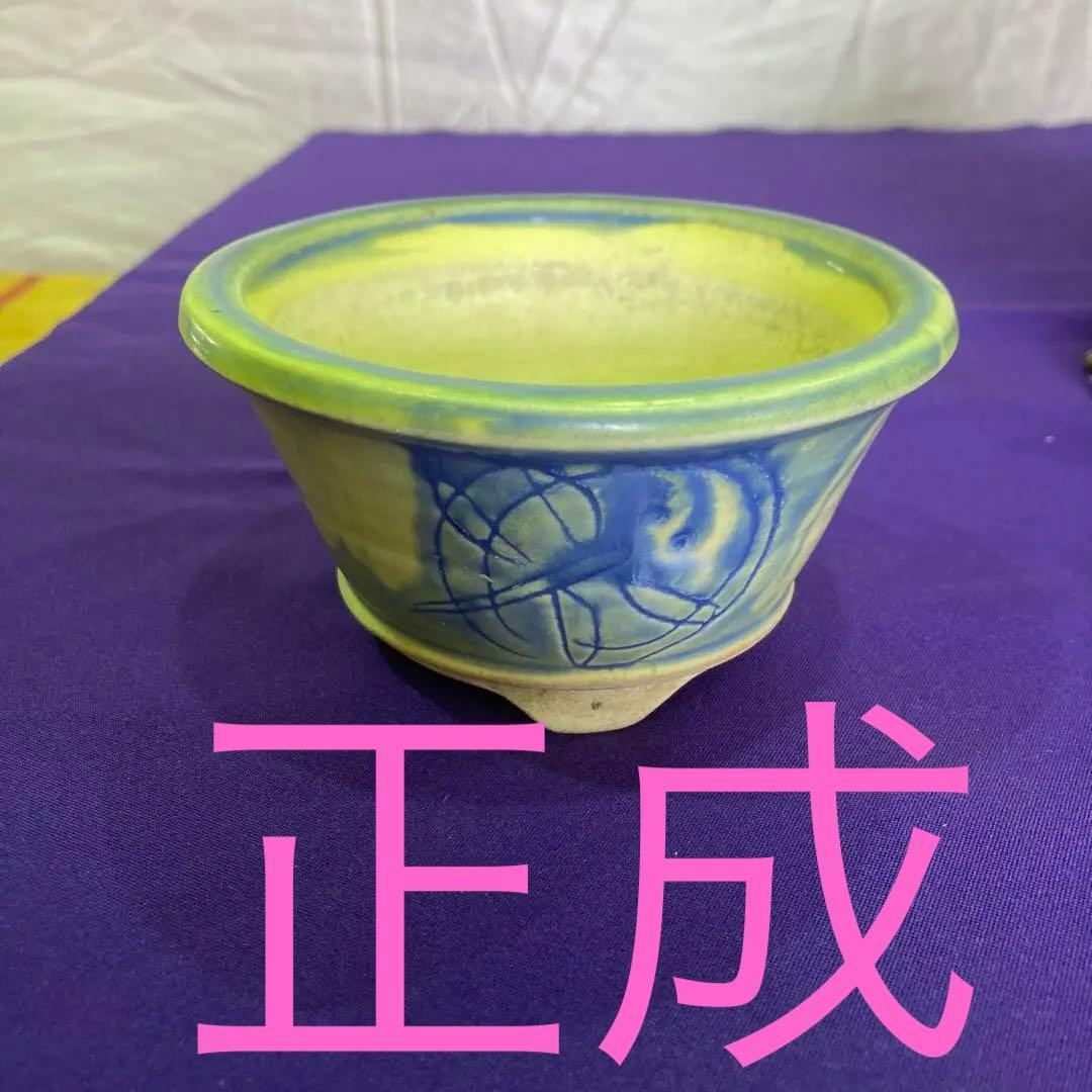 正成のミニ盆栽鉢