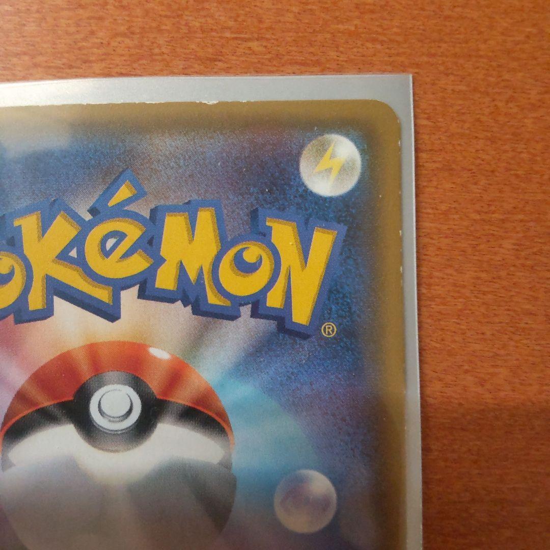 ポンチョを着たイーブイ（ブラッキー）