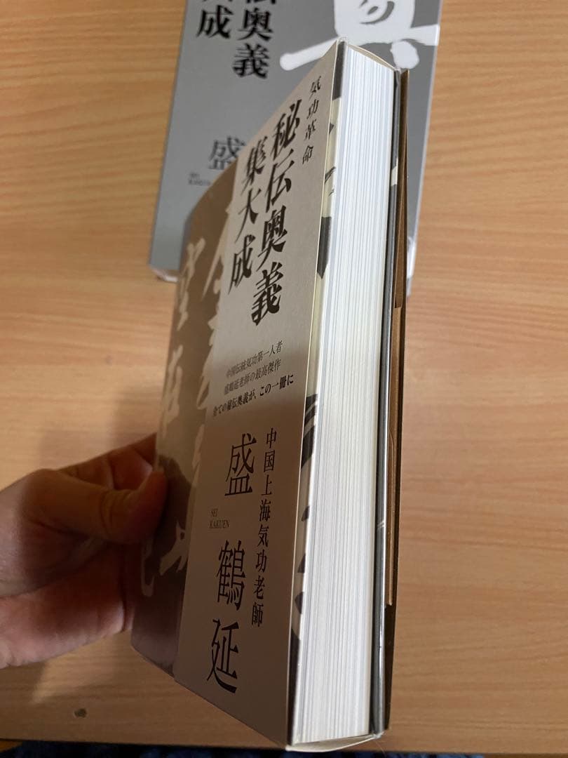 秘伝奥義集大成 盛鶴延著 気功(DVD付き)