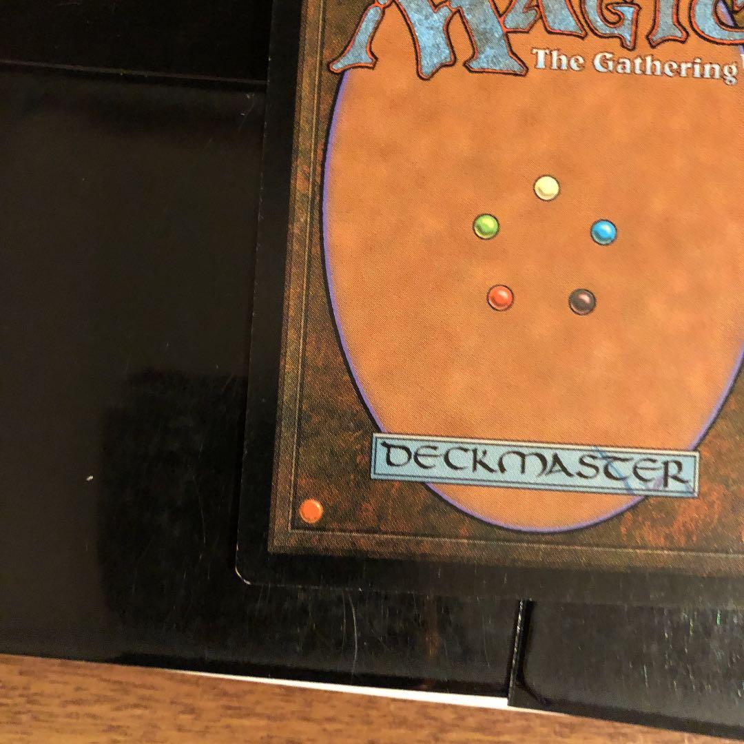 MTG 日本語　荊州占拠