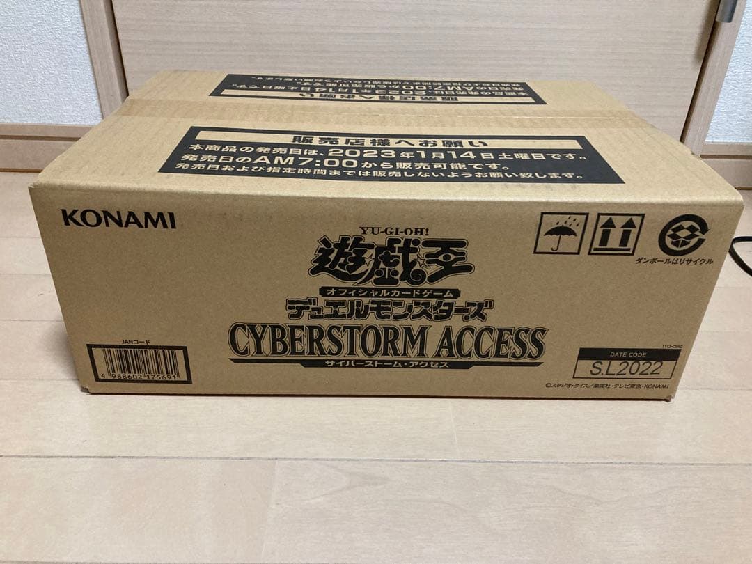 CYBERSTORM ACCESS 初回生産分1カートン