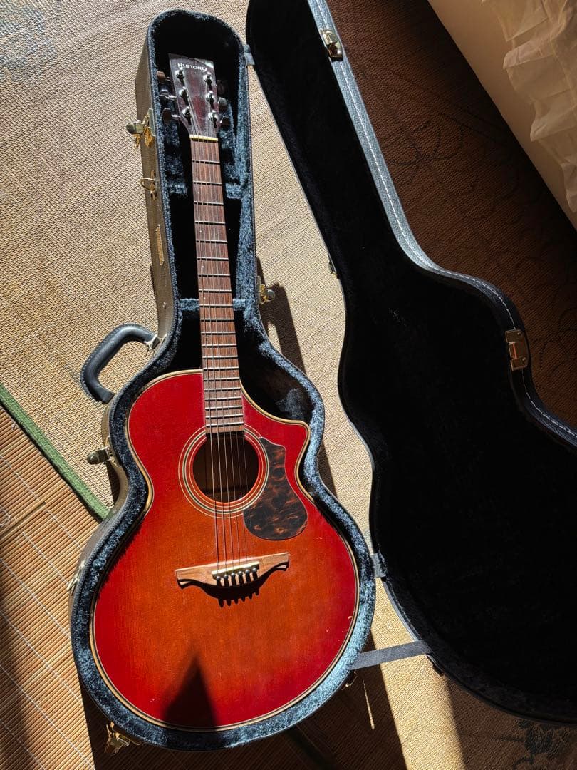 HISTORY NTC3 エレアコ　シングルカット　あいみょん