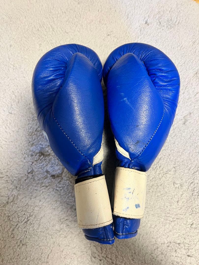 Winning ウイニング　ボクシング　グローブ　10oz