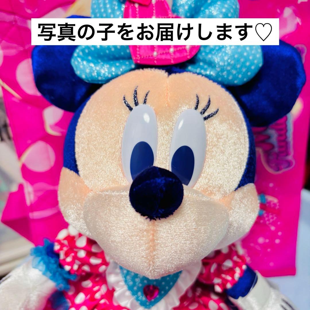 【匿名配送】　パルパルーザ　ぬいぐるみ　ミニーのファンダーランド　2026