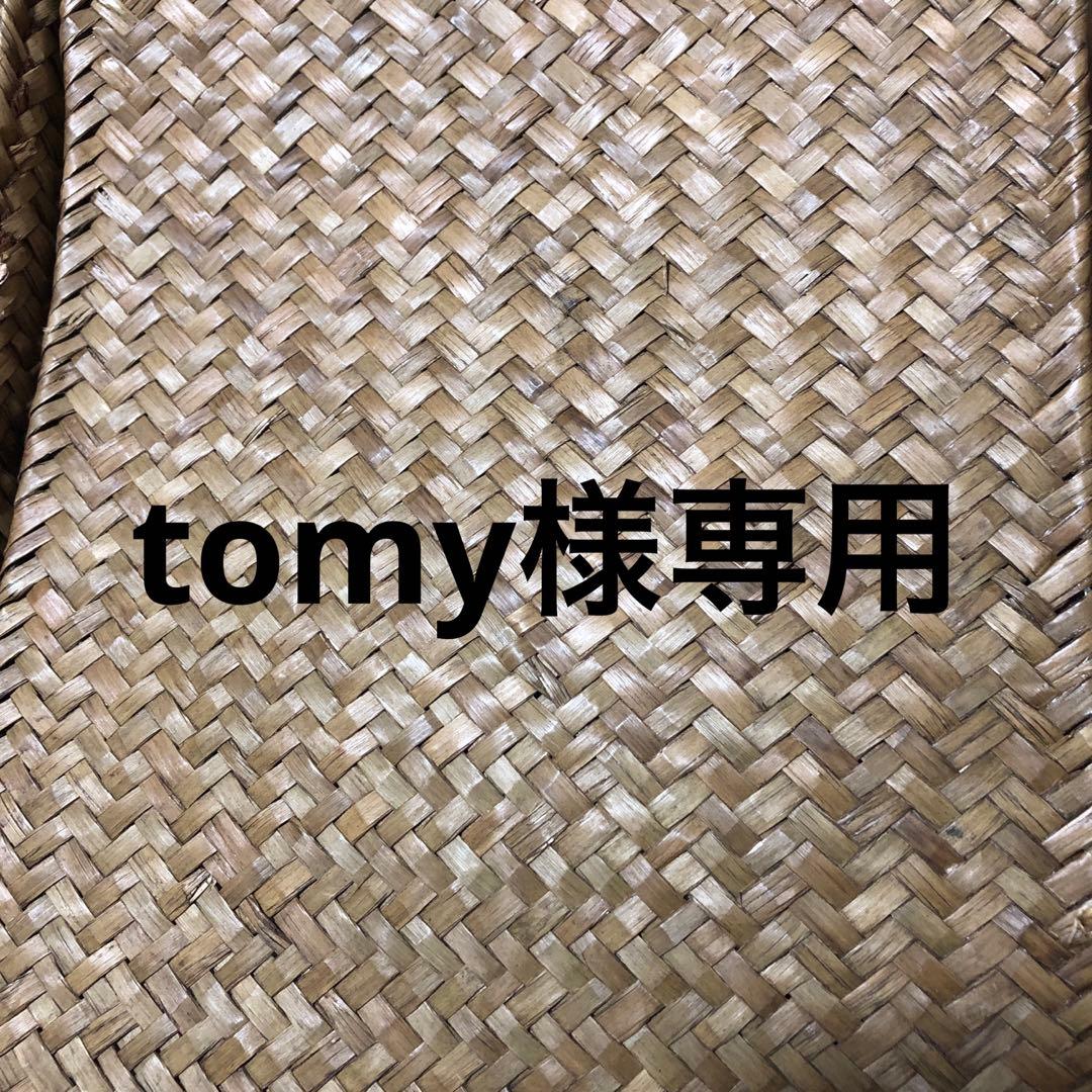 その他 tomy