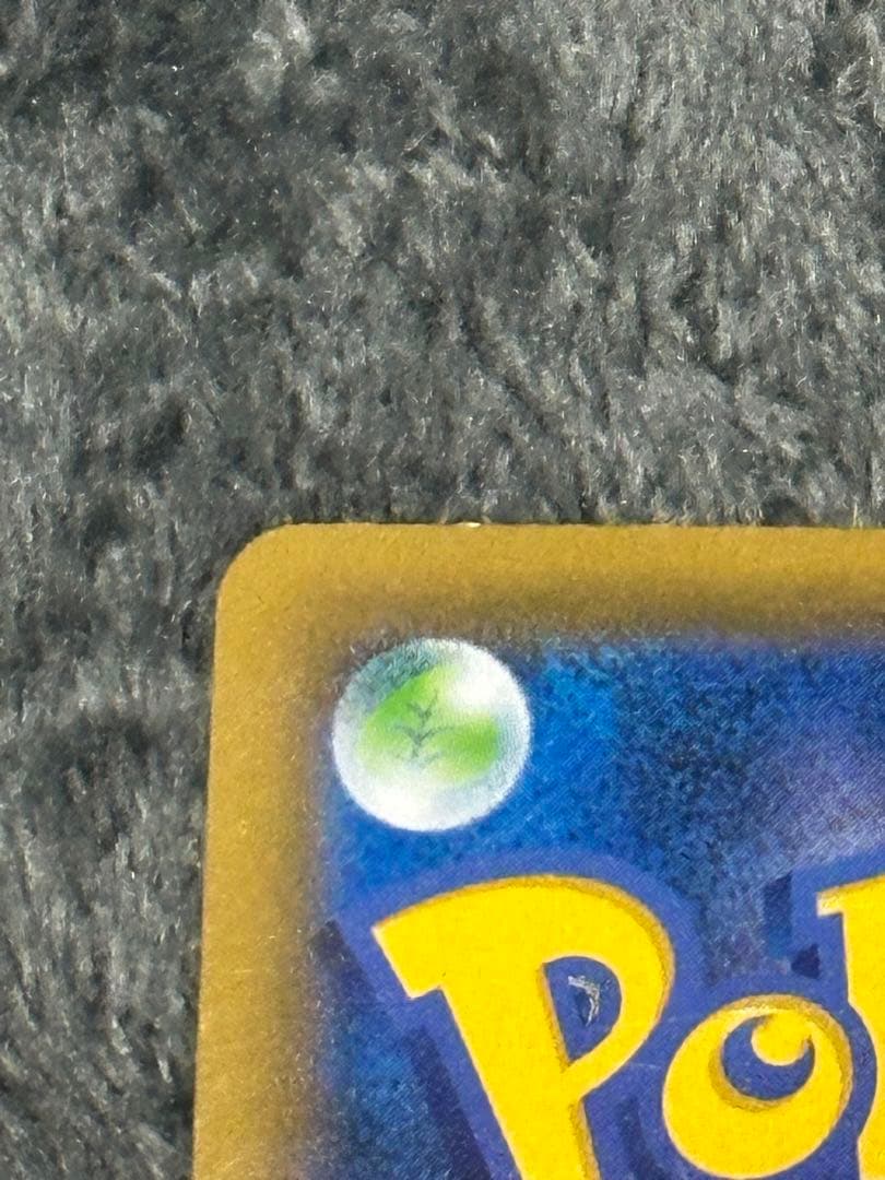 エリカのおもてなし SR 傘