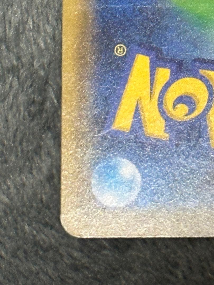 エリカのおもてなし SR 傘