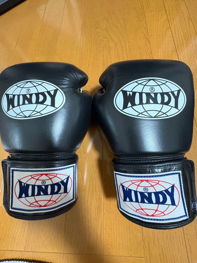 WINDY ボクシンググローブ 12oz BGVH