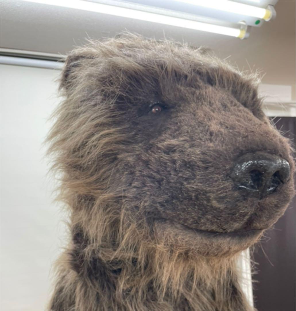 まるで本物！リアルなクマの着ぐるみマスク