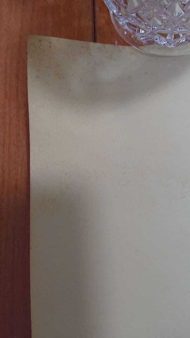 機動戦士 ガンダム　哀戦士、家でのアムロ