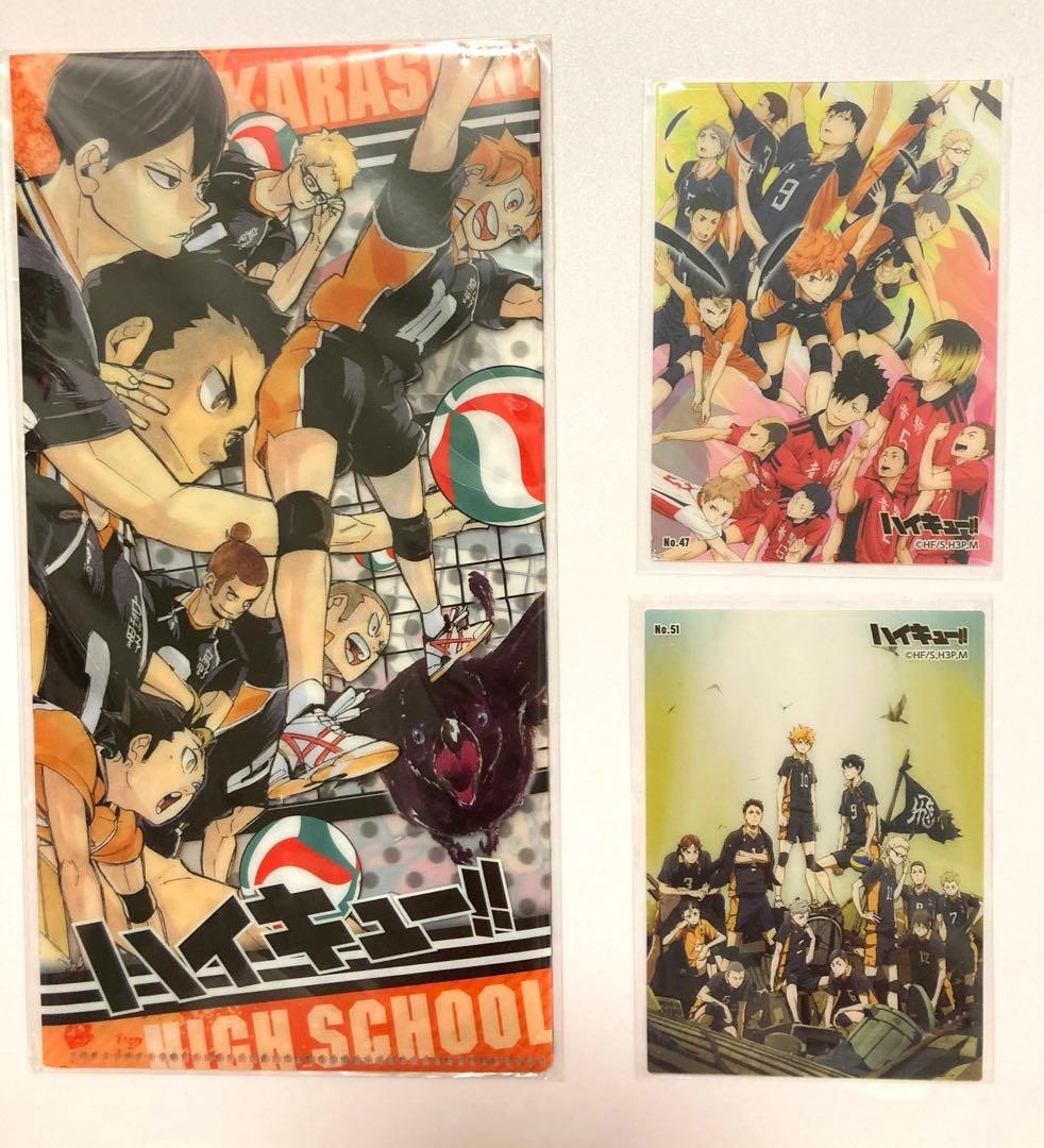 ハイキュー ゴミ捨て場の決戦 チケットファイル チケット付き 日向翔陽 孤爪研磨