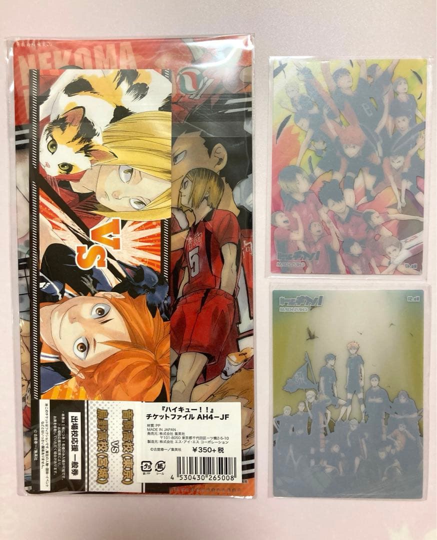 ハイキュー ゴミ捨て場の決戦 チケットファイル チケット付き 日向翔陽 孤爪研磨
