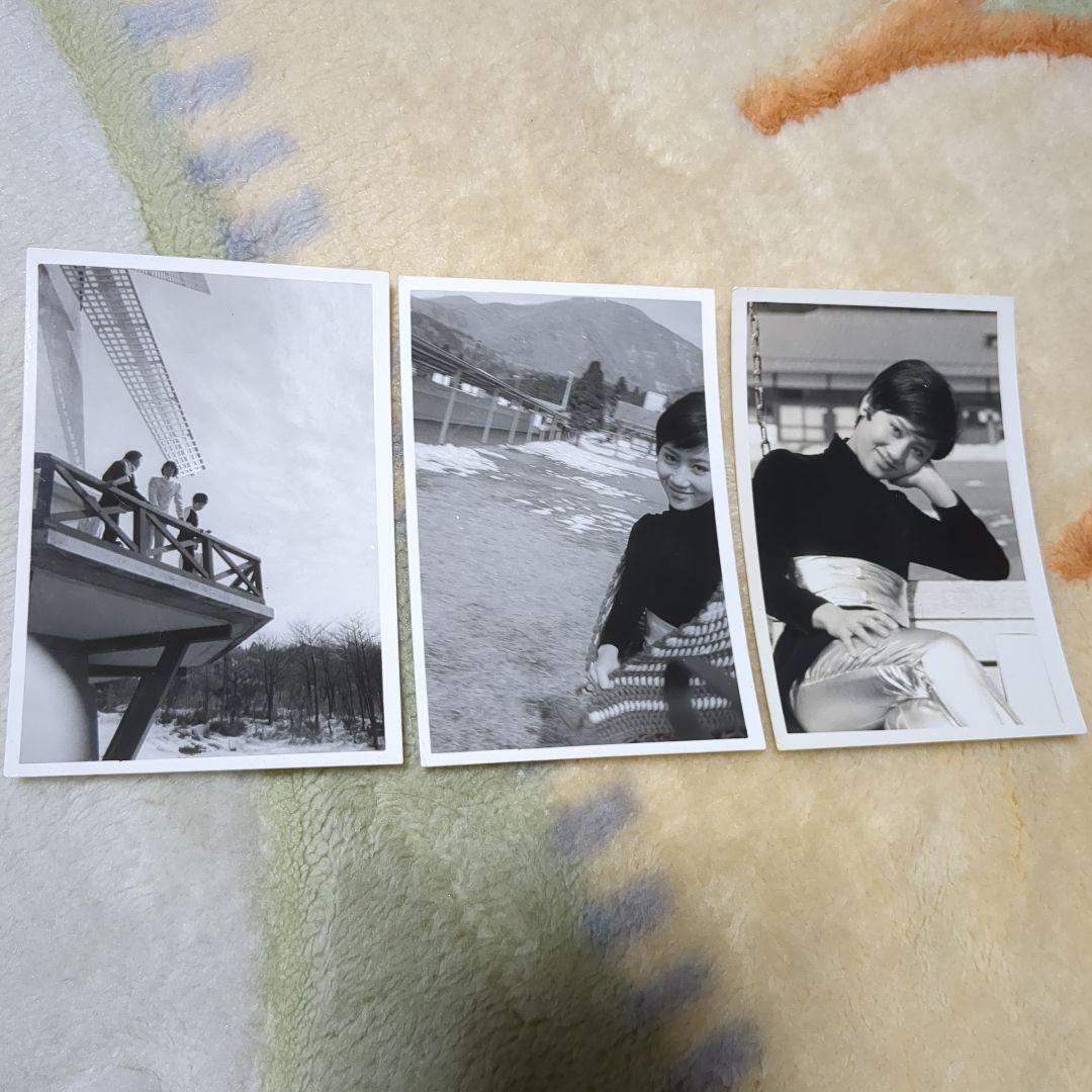 沢田研二　タイガース　生写真