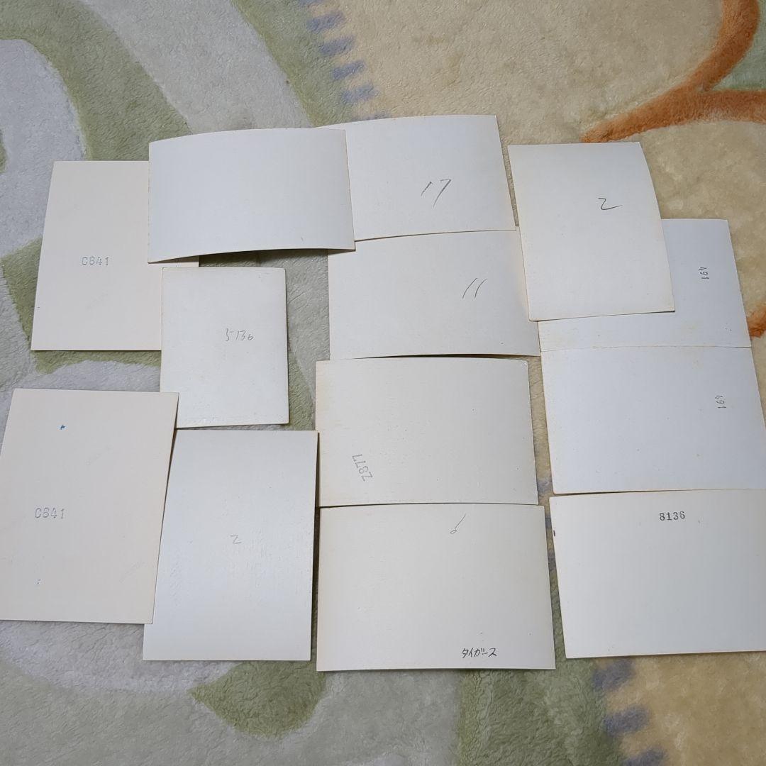 沢田研二　タイガース　生写真