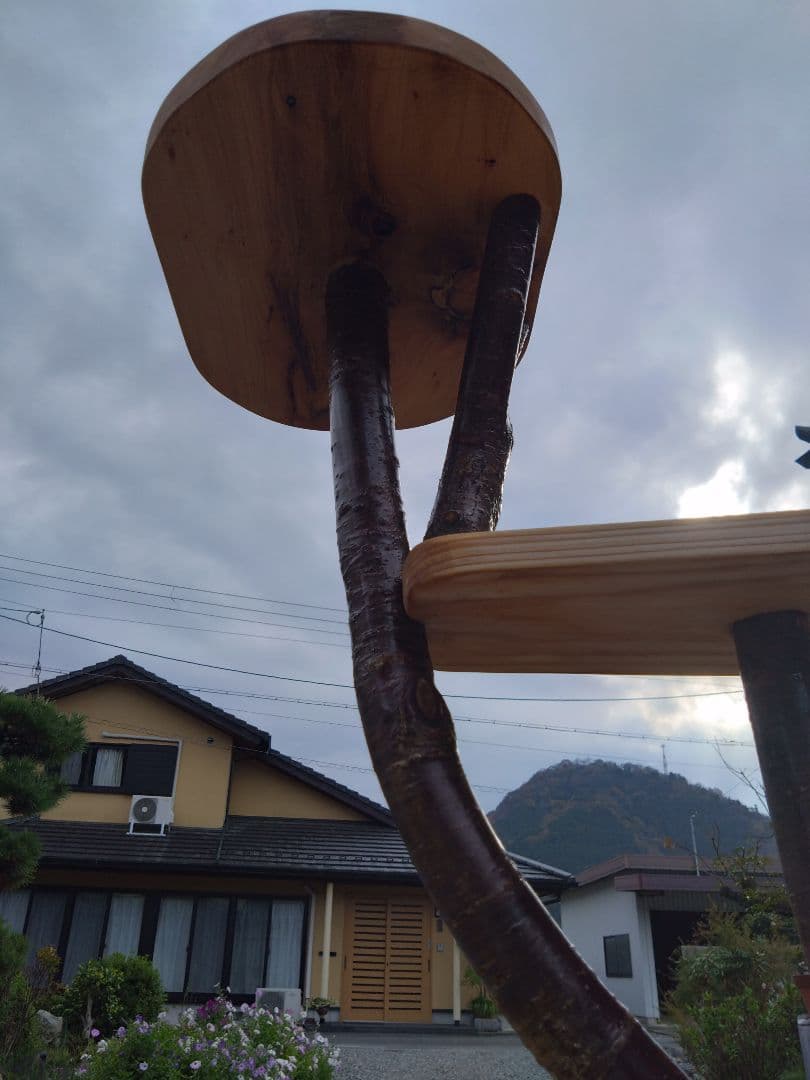 木製キャットタワー 据え置き型　桜❕