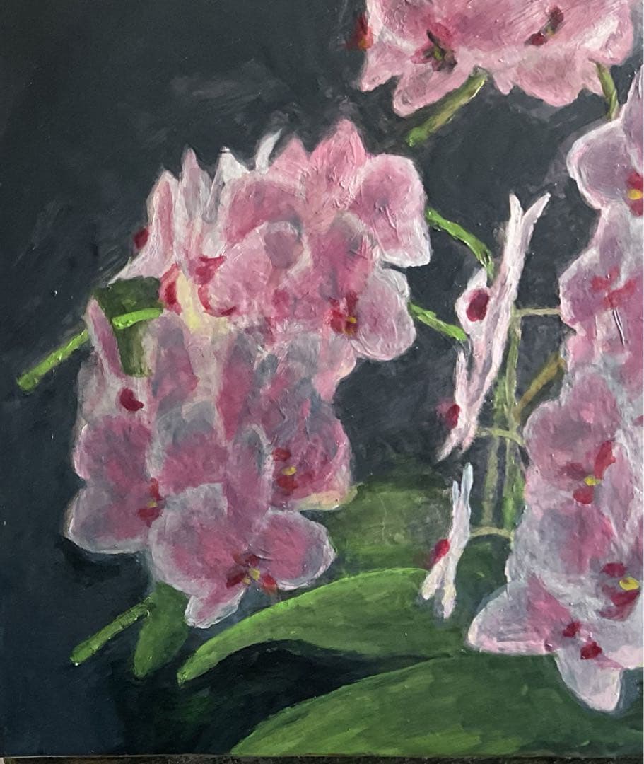 油彩画　「　胡蝶蘭　」　原画　　F8号　額付