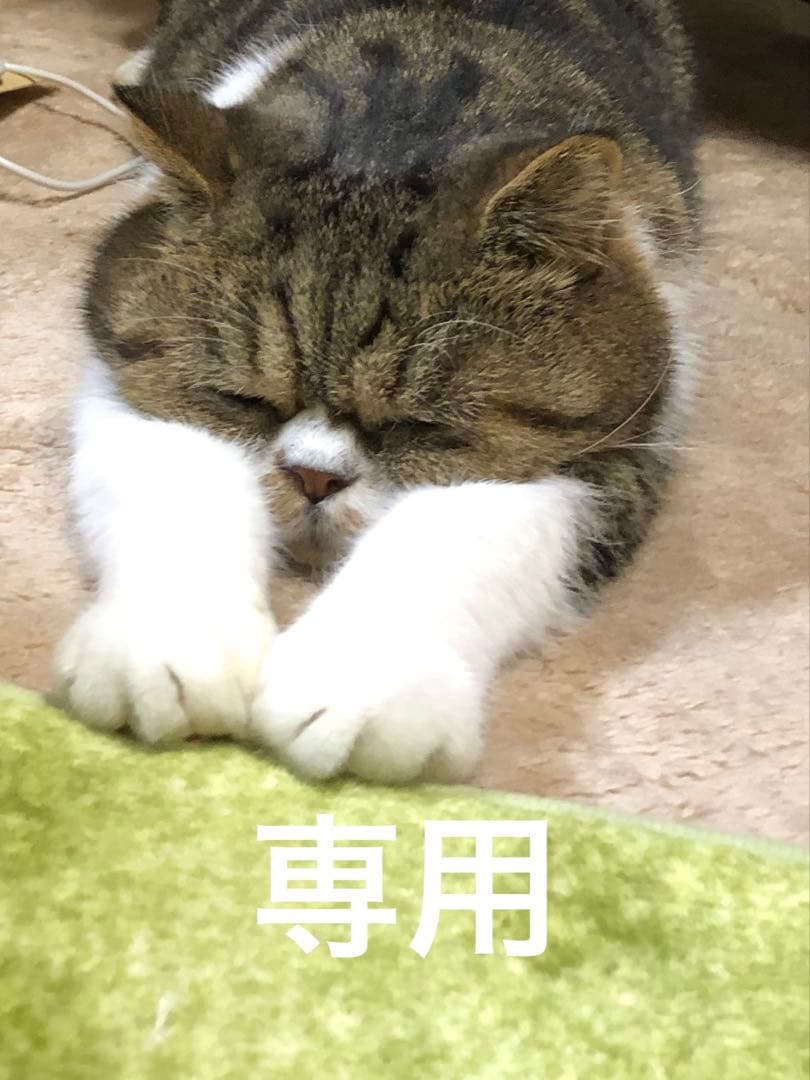 専用　京都小泉　ゴブラン刺繍薔薇柄着物　ローズ系　身丈１６６裄丈６８.５