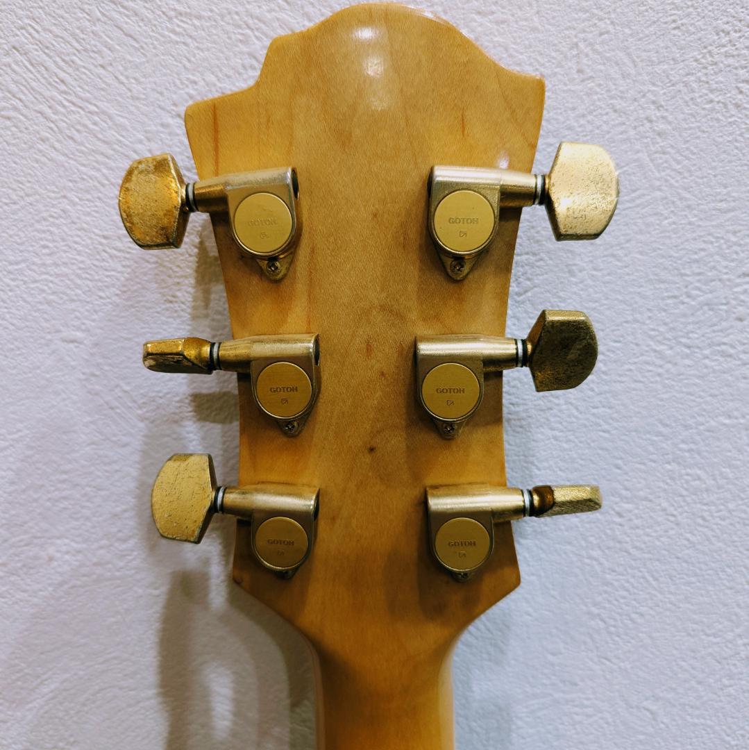 FERNANDES BURNY MG-80X hideモデル ※要確認