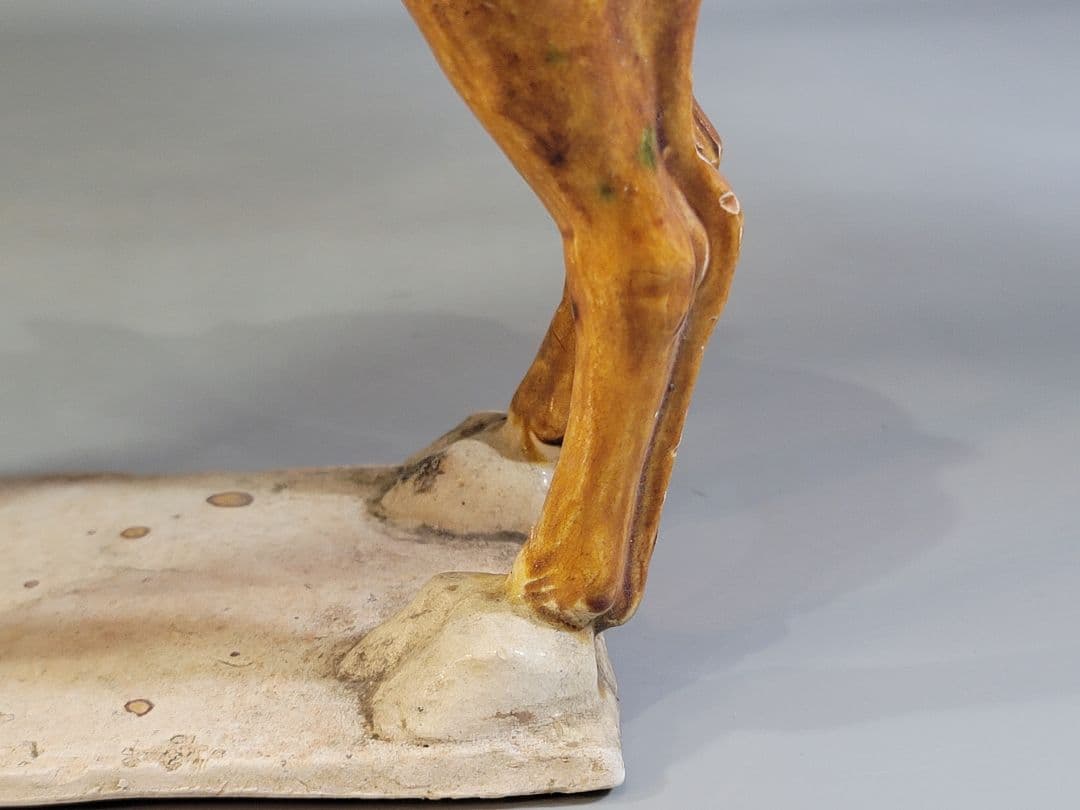 DT596 中国 唐三彩 駱駝 置物