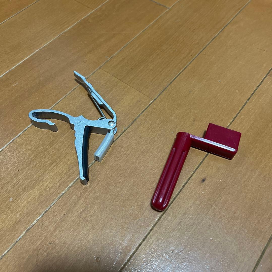 フォトジェニック レスポールカスタム