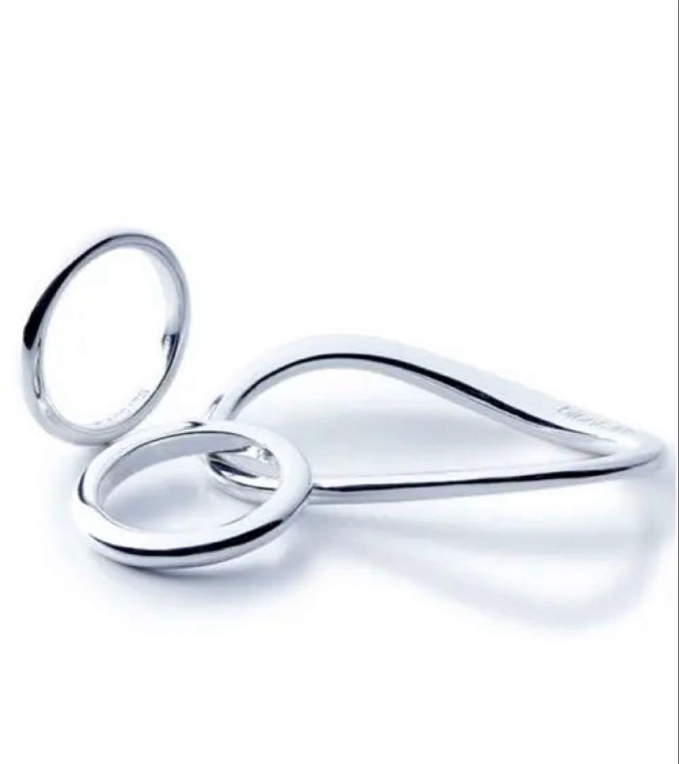 【blanc iris】エボリューションシルバーリング