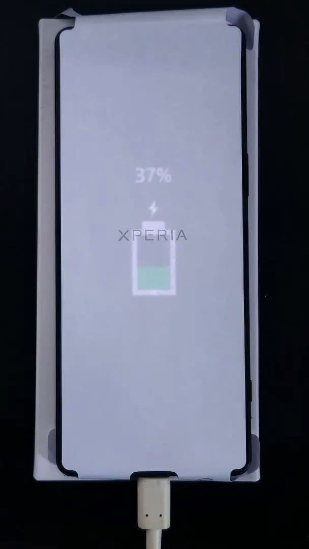 カラス　未使用 Sony Xperia 1 IV docomoパープル