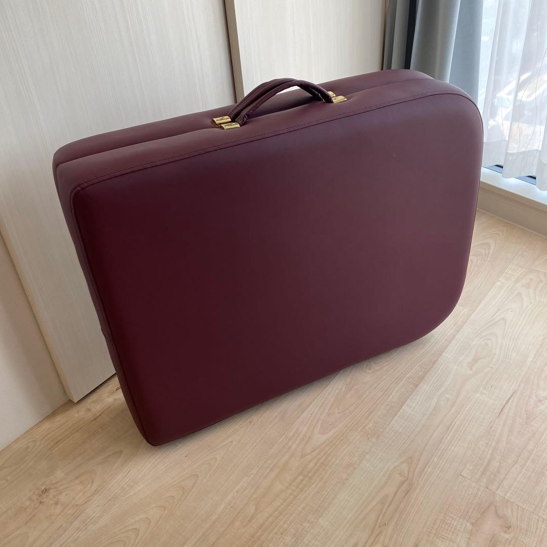 アースライト社Spirit 施術ベッド　（ヘッドレスト&キャリーケース付）