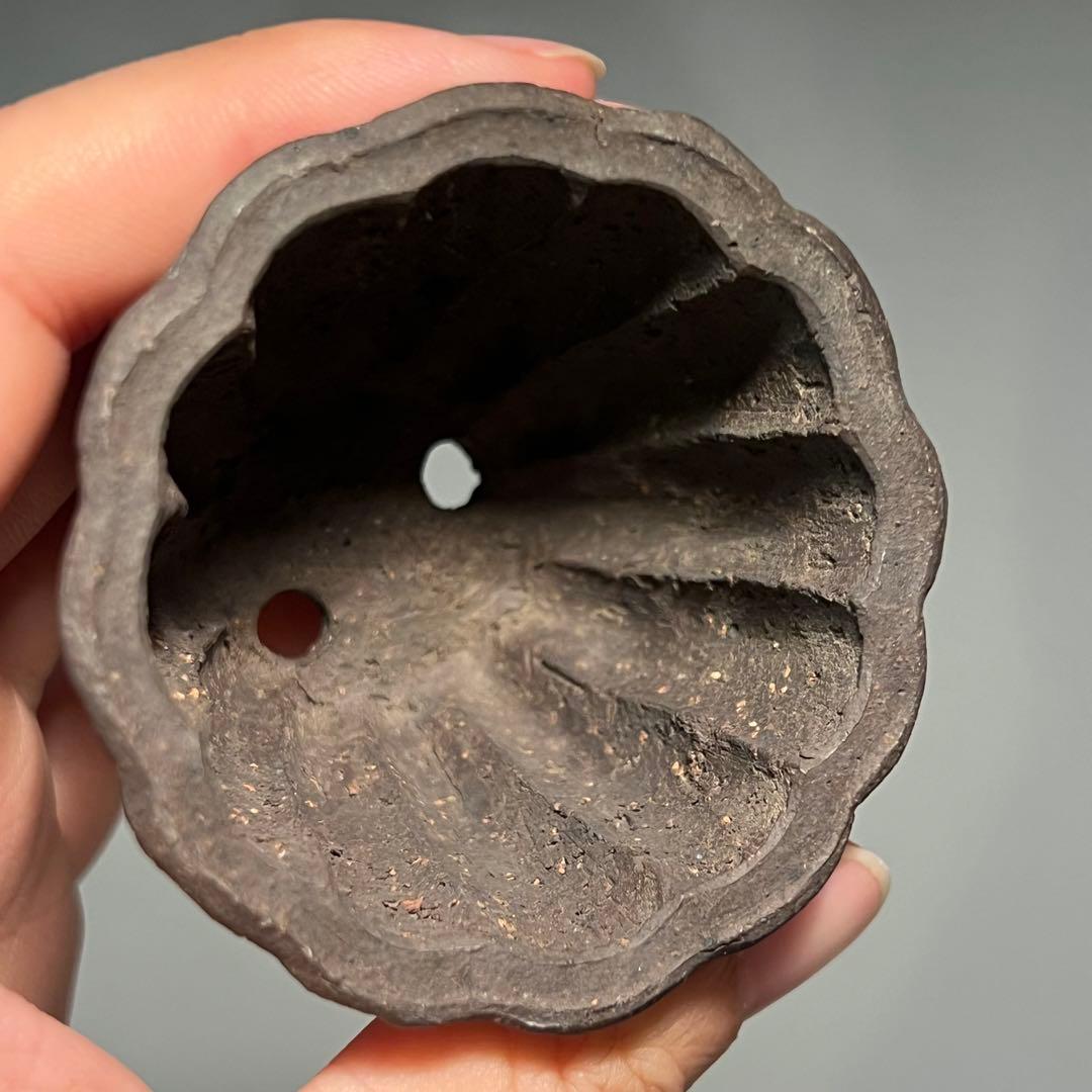 707.夢陶 紫泥輪花鉢 盆栽鉢 植木鉢 6.3*4.9cm