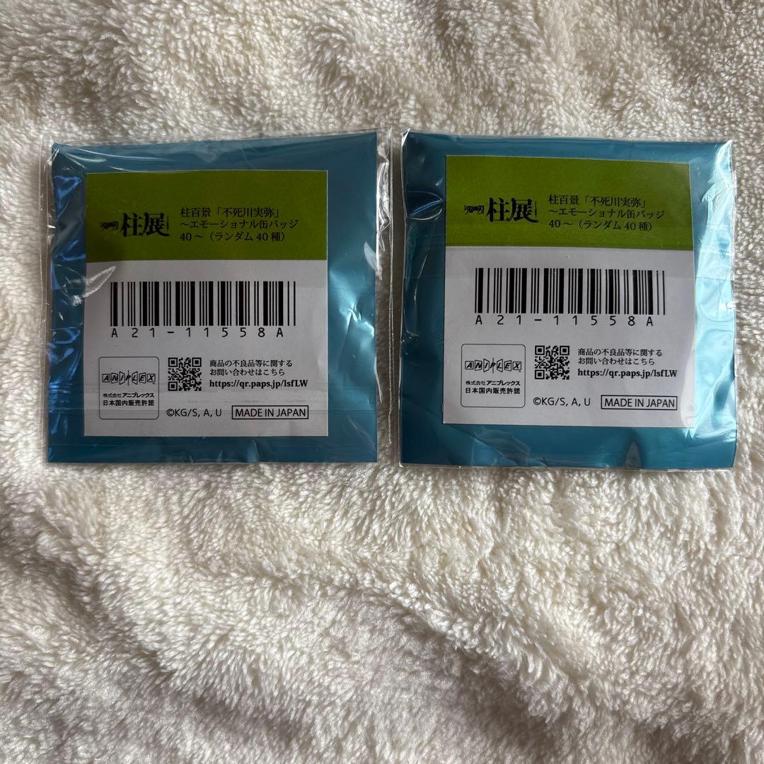 鬼滅の刃 柱展 柱百景 不死川実弥 エモーショナル缶バッジ 18、22