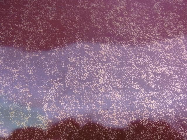 金彩黒地エナメル　角皿　装飾大皿　菓子鉢　エッチング　手書き　アンティーク　骨董