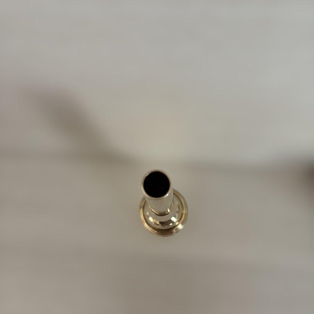 フラーテプレチージョン ゴールドプレート サイズ5