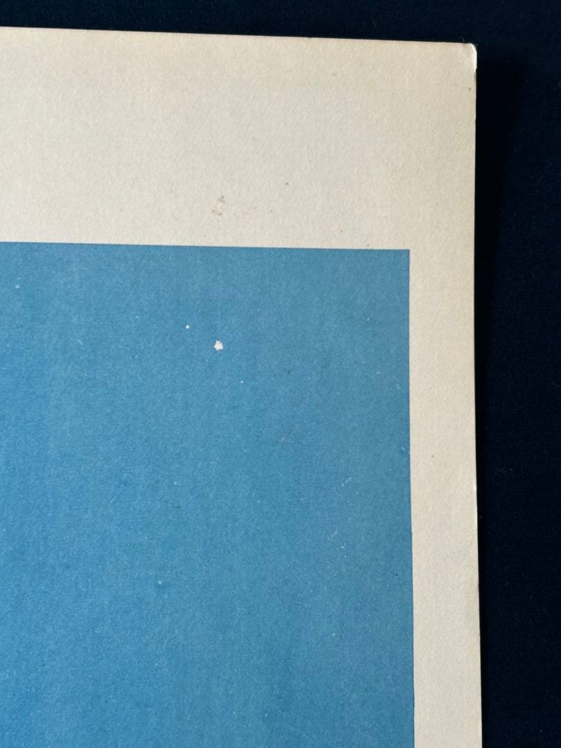 ワイルド・アフェア　USオリジナル映画ポスター