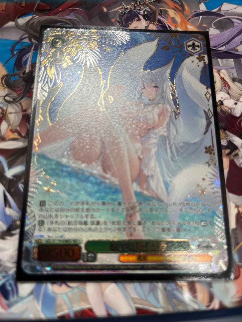 航空母艦　信濃　sec+