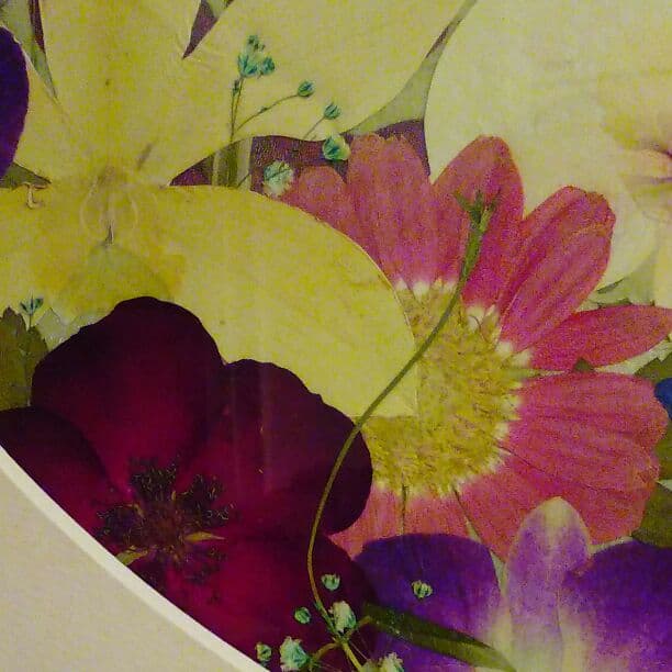 花あそび　押し花絵画