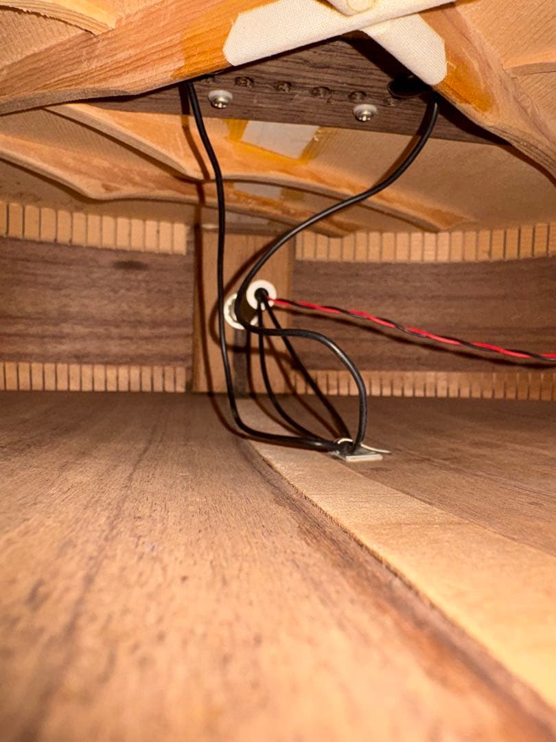 ギター History / NT-501