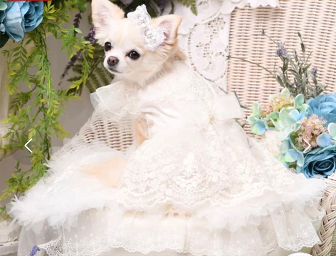 【未使用品】Luxe birdie ラマリエワンピース SS オフホワイト