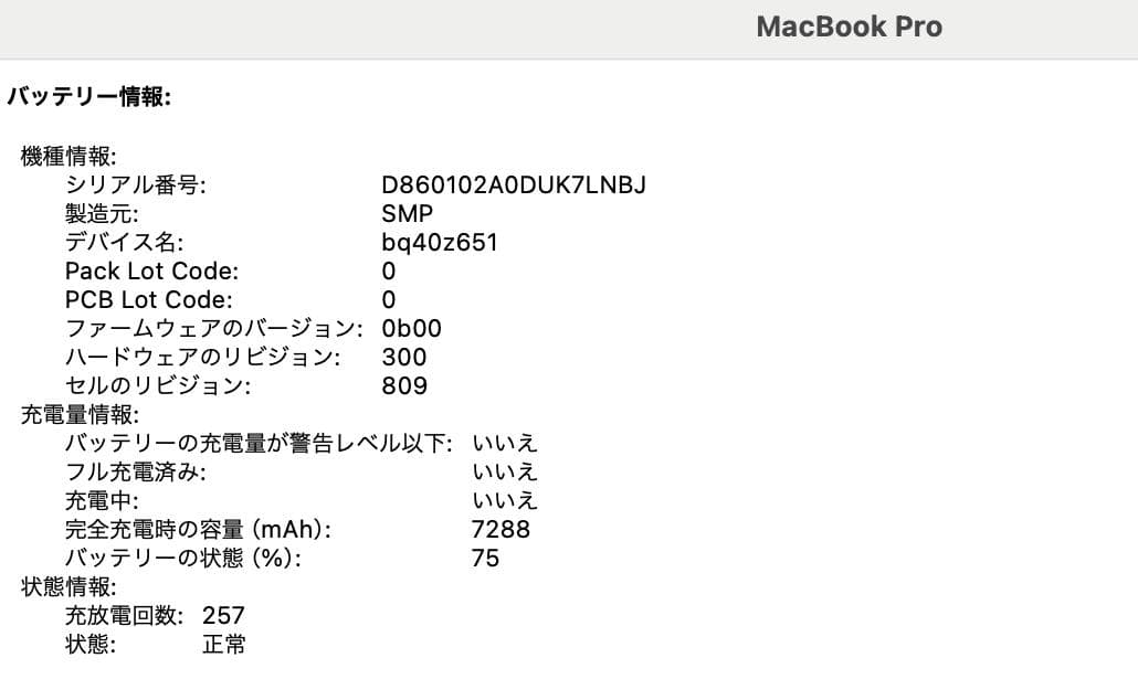 Apple MacBook Pro(16インチ, 2019)16GB/512GB